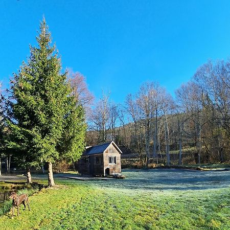 Insolite Tiny House Serenite Bien Etre Ban-sur-Meurthe-Clefcy 외부 사진
