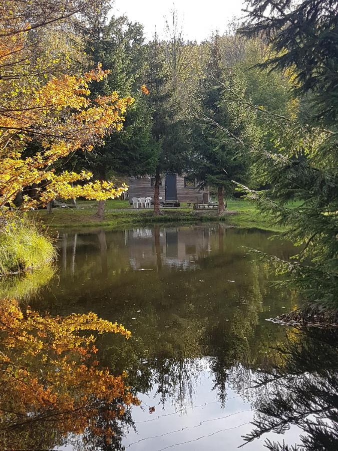 Insolite Tiny House Serenite Bien Etre Ban-sur-Meurthe-Clefcy 외부 사진
