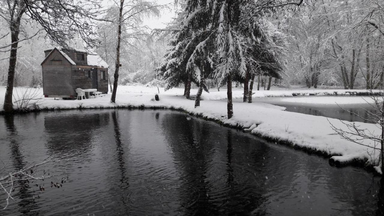 Insolite Tiny House Serenite Bien Etre Ban-sur-Meurthe-Clefcy 외부 사진