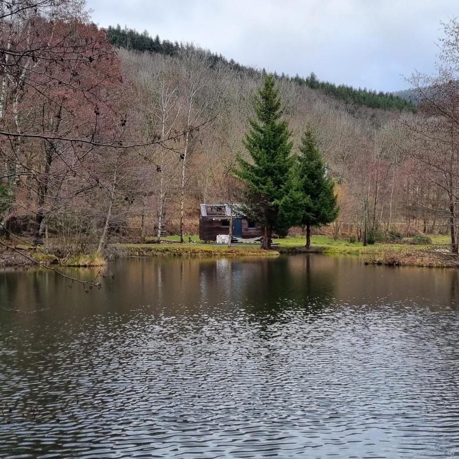 Insolite Tiny House Serenite Bien Etre Ban-sur-Meurthe-Clefcy 외부 사진